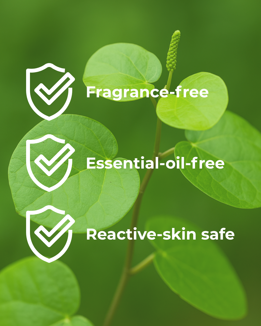 CLEAN SLATE - Daily Milky Cleanser (Sensitive-Skin Safe)