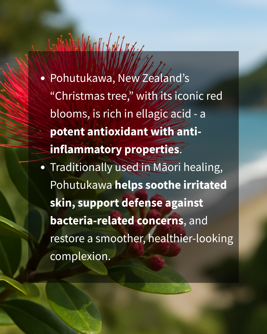 CLEAN SLATE – Anti-Pollution Cream Cleanser | Hydrate + Purify