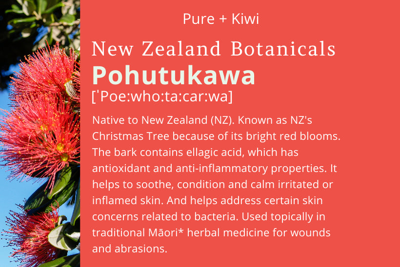 CLEAN SLATE - Cream Cleanser - Pohutukawa + Willow Bark (BHA) + Shea Butter