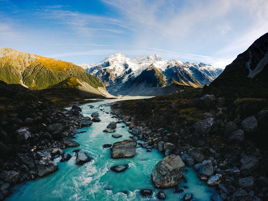 Proven New Zealand Botanicals for Sensitive Skin