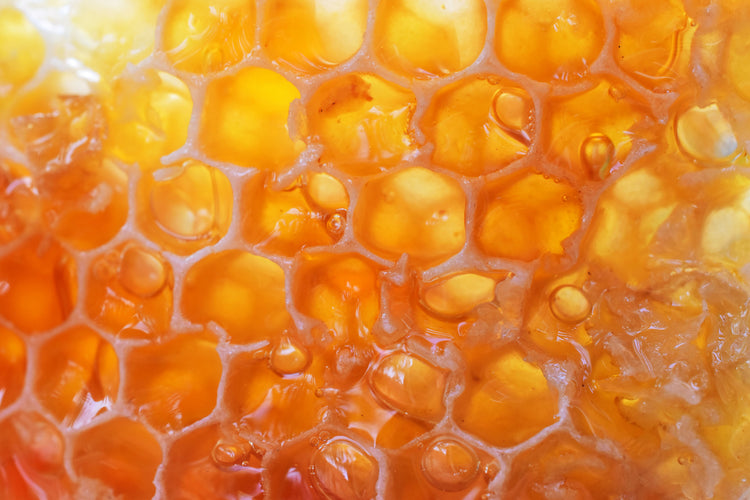 Manuka Honey