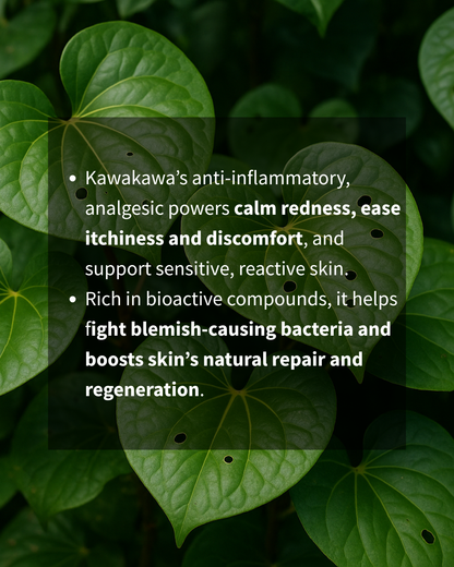 RESTORE – Anti-Inflammatory Barrier Repair Oil| For Acne & Rosacea Prone Skin