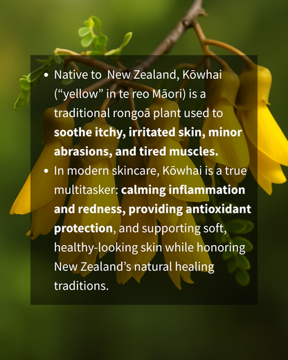 HARMONY CRÈME - Green Tea, Ceramide & CoQ10 Crème  | For Hormonal or Stressed Skin