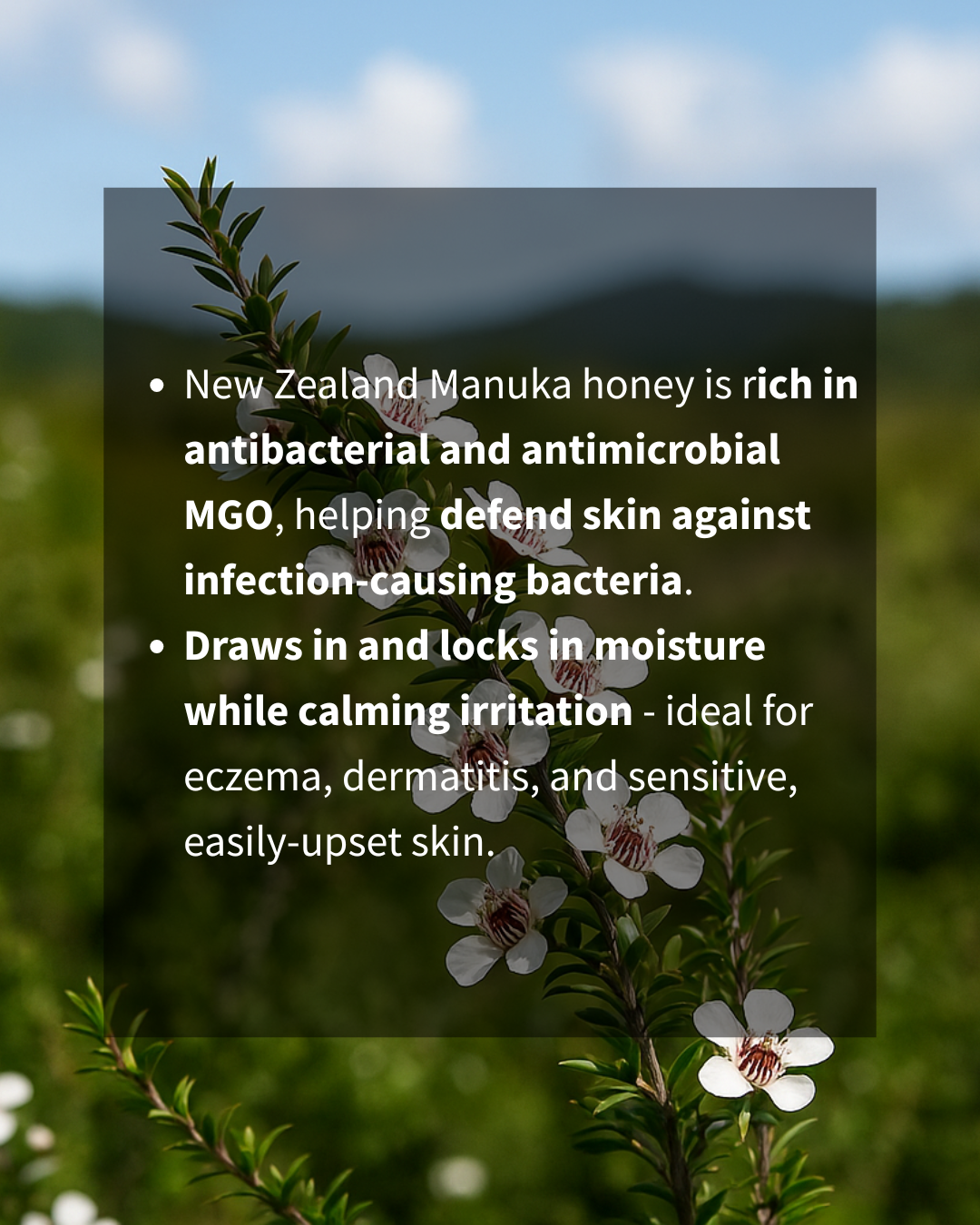 BEE CALM – Probiotic & Manuka Balance Serum | For Breakouts + Hormonal Balance