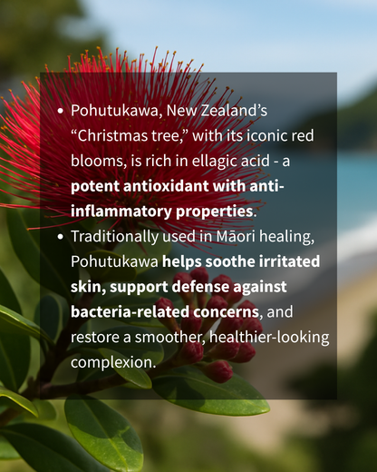 CLEAN SLATE – Anti-Pollution Cream Cleanser | Hydrate + Purify